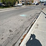 Debris on Street, Sidewalk, Boulevard at 1703 11 Av SW