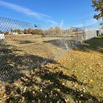 Fence or Structure Concern - City Property at 3110 Sarcee Tr SW