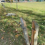 Fence Concern in a Park at 3222 1 St SW