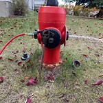 Fire Hydrant Concerns at 556 Aboyne Cr NE