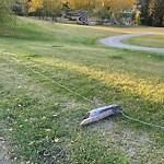 Fence Concern in a Park-WAM at 702 28 Av NW