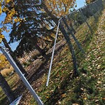Fence Concern in a Park at 4 Harvest Hills Mr NE