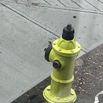Fire Hydrant Concerns at 142 Ambleside Hl NW