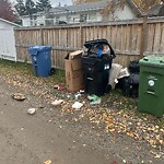 In a Park - Litter Pick Up or Overflowing Park Bins at 860 Archwood Rd SE