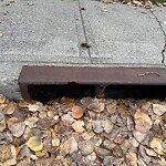 Catch Basin / Storm Drain Concerns at 16 Trafford Pl NW
