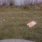 In a Park - Litter Pick Up or Overflowing Park Bins at 348 Taralake Ld NE