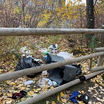 In a Park - Litter Pick Up or Overflowing Park Bins at 204 Holy Cross Ln SW