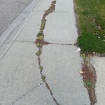 Sidewalk or Curb - Repair at 7169 California Bv NE