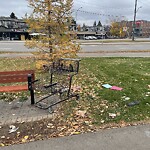 Debris on Street, Sidewalk, Boulevard at 80 Point Mckay Cr NW