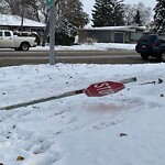 Sign on Street, Lane, Sidewalk - Repair or Replace at 8011 7 St SW