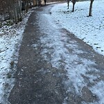 Snow On City-maintained Pathway or Sidewalk at 905 Mcdougall Rd NE