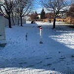 Snow On City-maintained Pathway or Sidewalk at 53 Coverton Cl NE
