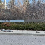 Fence or Structure Concern - City Property at 2503 12 Av SW
