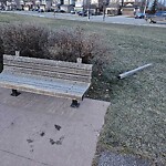 Furniture or Structure Concern in a Park-WAM at 17111 56 St SE