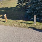 Fence Concern in a Park-WAM at 1445 16 St NE