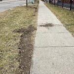 Snow On City-maintained Pathway or Sidewalk at 183 Bedford Dr NE