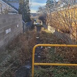 Pedestrian and Cycling Pathway - Repair at 1003 17 St NE