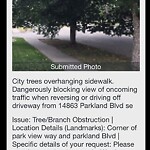 Tree Maintenance - City Owned at 14863 Parkland Bv SE
