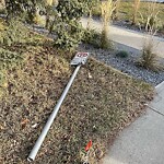 Sign on Street, Lane, Sidewalk - Repair or Replace at 1408 21 Av NW