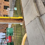 Sidewalk or Curb - Repair at 8620 48 Ave NW Bowness
