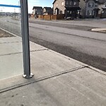Bus Stop - Shelter Concern at 28 Skyview Ranch Bv NE