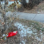 Debris on Street, Sidewalk, Boulevard at 103 Superior Av SW