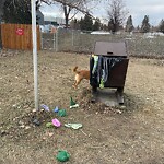 In a Park - Litter Pick Up or Overflowing Park Bins at 110 Heritage Dr SW