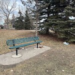 In a Park - Litter Pick Up or Overflowing Park Bins at 503 78 Av SW