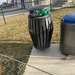 In a Park - Litter Pick Up or Overflowing Park Bins at 273 Magnolia He SE