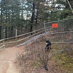 Pedestrian and Cycling Pathway - Repair - WAM at 150 Wildwood Dr SW