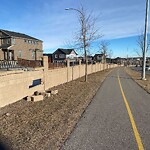Fence or Structure Concern - City Property at 29 Evanscrest Tc NW