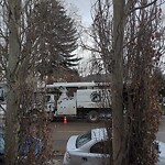Tree Maintenance - City Owned at 633 23 Av NE