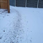 Snow On City-maintained Pathway or Sidewalk at 139 Maunsell Cl NE