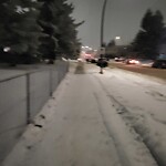 Snow On City-maintained Pathway or Sidewalk at 3119 56 St NE