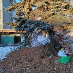 In a Park - Litter Pick Up or Overflowing Park Bins at 46 7 St NE