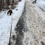 Snow On City-maintained Pathway or Sidewalk at 36 Strathlea Pl SW