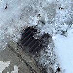 Catch Basin / Storm Drain Concerns at 99 Patterson Dr SW
