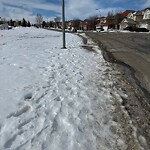 Snow On City-maintained Pathway or Sidewalk-WAM at 10365 Hamptons Bv NW