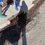 Catch Basin / Storm Drain Concerns at 2436 Chicoutimi Dr NW