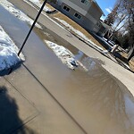 Catch Basin / Storm Drain Concerns at 1415 Northmount Dr NW