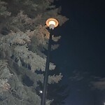 Streetlight Burnt out or Flickering at 583 Woodpark Cr SW