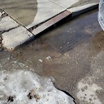 Catch Basin / Storm Drain Concerns at 409 18a St Nw, Calgary, Ab T2 N 2 H3, Canada