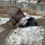In a Park - Litter Pick Up or Overflowing Park Bins at 230 21 Av SW