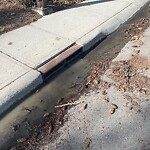 Catch Basin / Storm Drain Concerns at 223 Silver Mead Cr NW