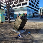 In a Park - Litter Pick Up or Overflowing Park Bins at 1036 Mcdougall Rd NE