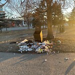 In a Park - Litter Pick Up or Overflowing Park Bins-WAM at 521 Memorial Dr NE