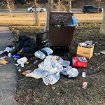 In a Park - Litter Pick Up or Overflowing Park Bins-WAM at 219 Memorial Dr NE