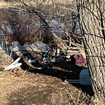 In a Park - Litter Pick Up or Overflowing Park Bins-WAM at 2224 1 St SE