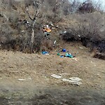 In a Park - Litter Pick Up or Overflowing Park Bins-WAM at 148 Memorial Dr NE