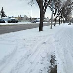 Snow On City-maintained Pathway or Sidewalk at 117 Shannon Ci SW